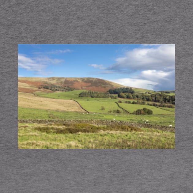 Clitheroe Farmland by Femaleform